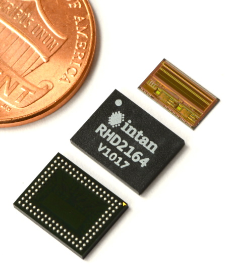 Intan RHD2164 chip